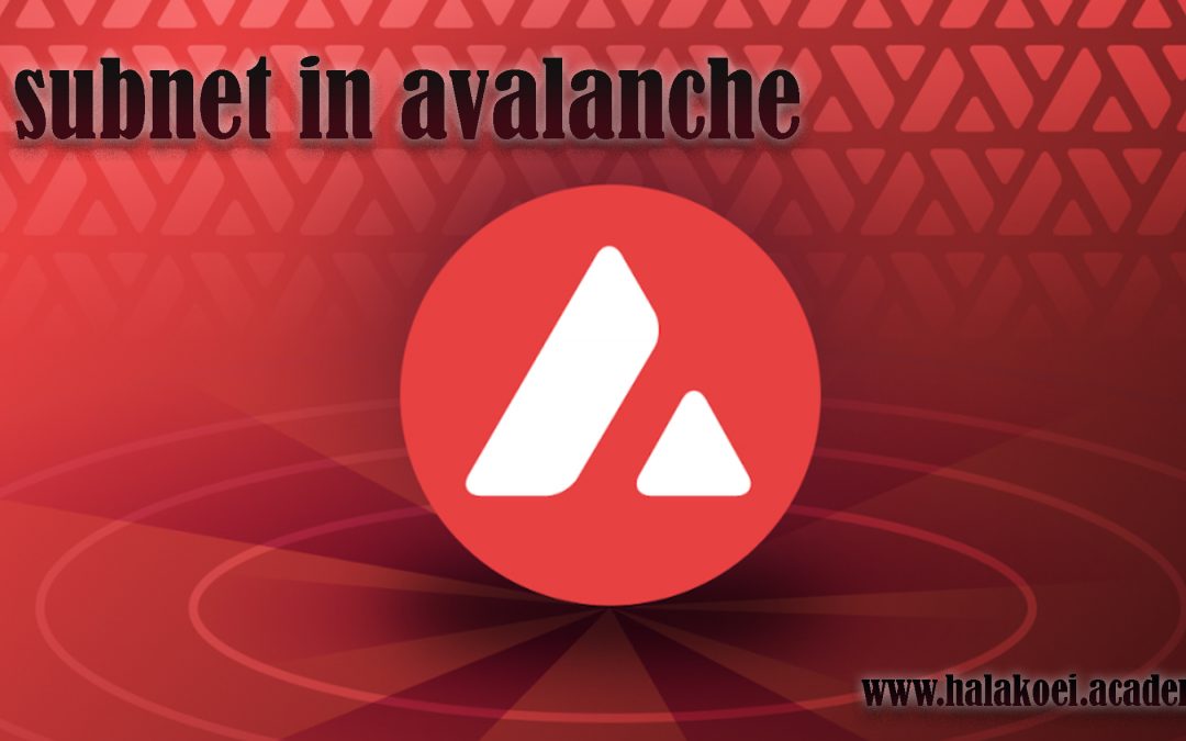 ساب نت(subnet) avalanche چیست؟ – آکادمی پرشیا بلاکچین
