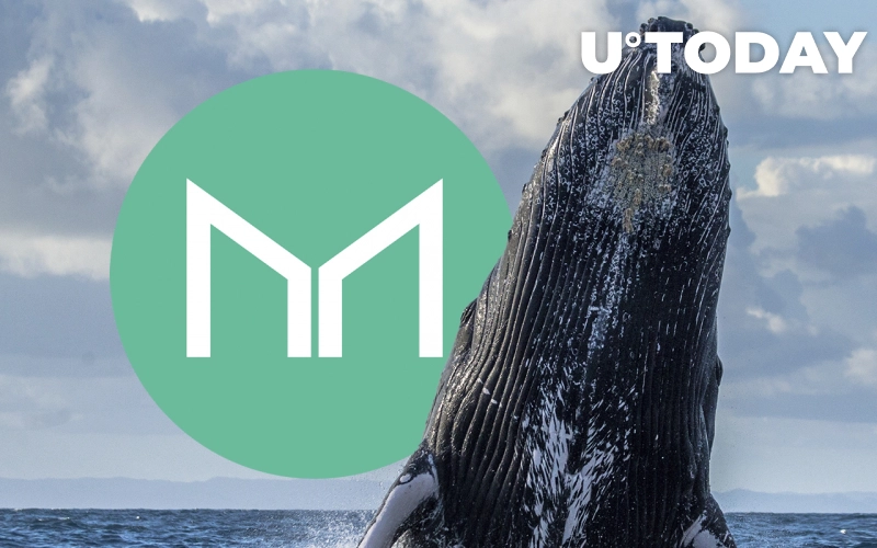 رمزارز میکر (MKR) با رشد 21 درصدی فعالیت نهنگ ها روبه رو می شود