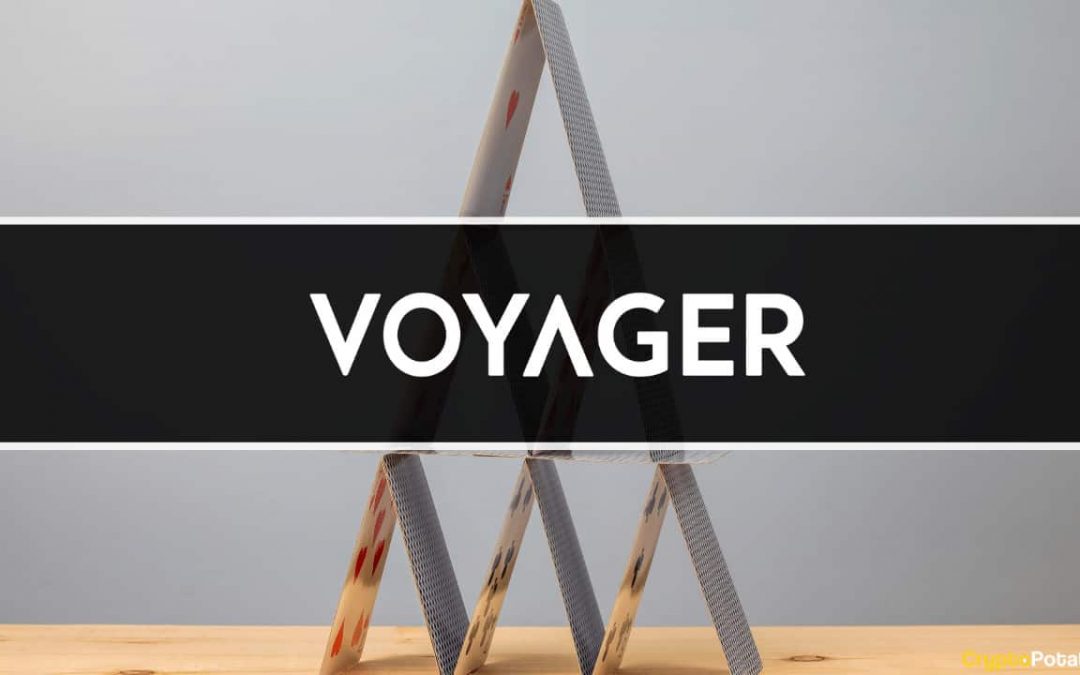 سازمان FDIC ادعاهای Voyager را بررسی می کند
