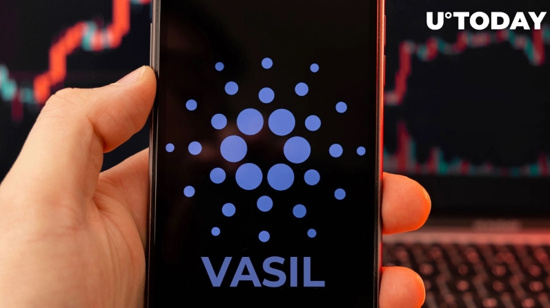 کاربران کاردانو اکنون می‌توانند پیشرفت Vasil را در این پلتفرم ردیابی کنند