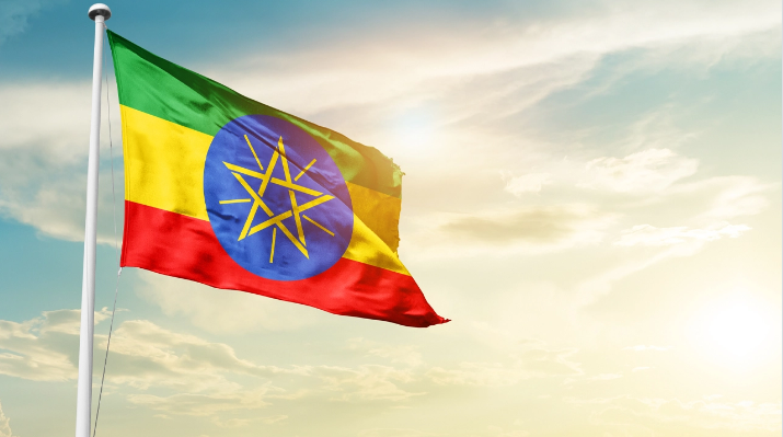ثبت و اعطای مجوز به ارائه دهندگان خدمات رمزارزی در اتیوپی توسط INSA