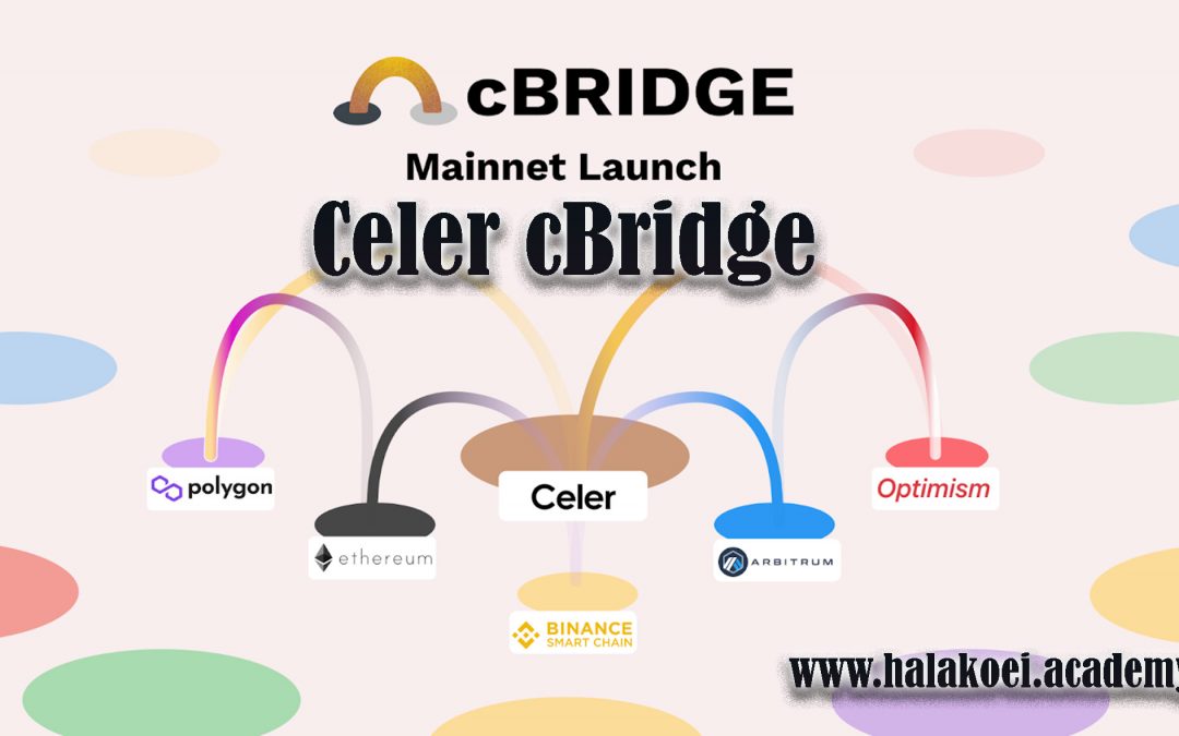 معرفی Celer cBridge – آکادمی پرشیا بلاکچین